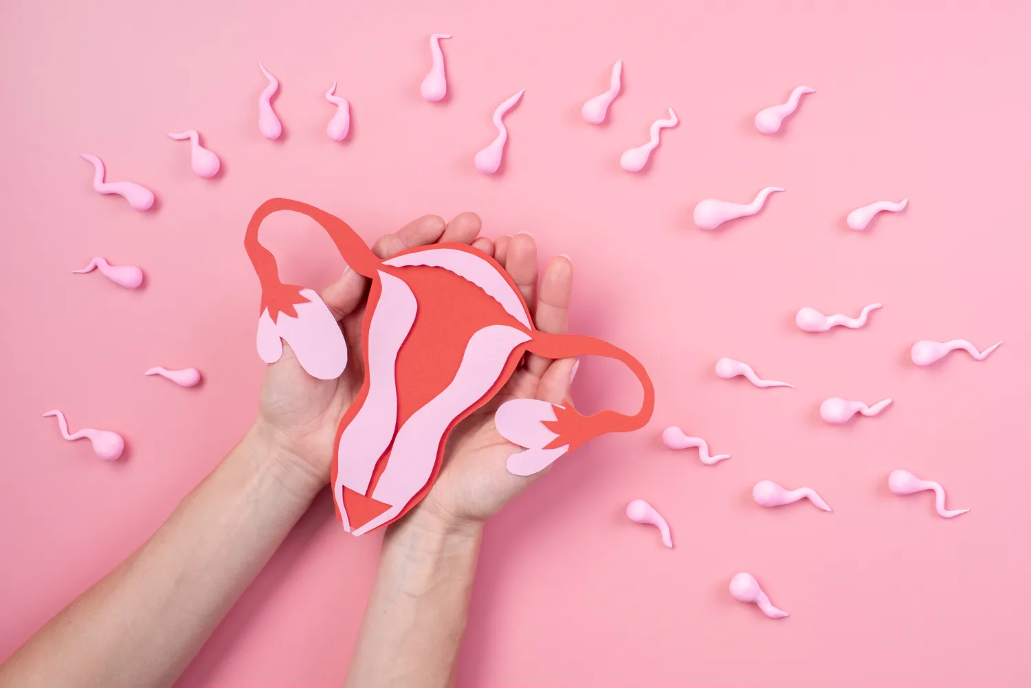 Inseminación intrauterina